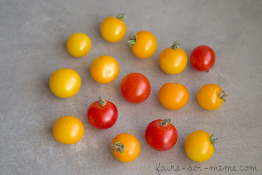 Planter des tomates en pots