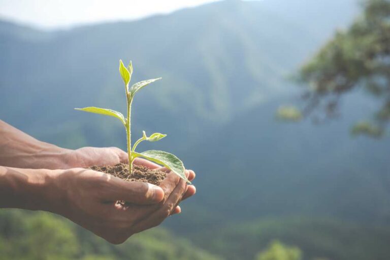 9 astuces d’organisation zéro déchet pour réduite notre empreinte écologique