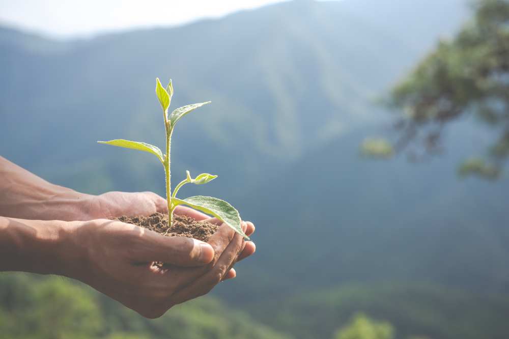 Réduire son empreinte écologique