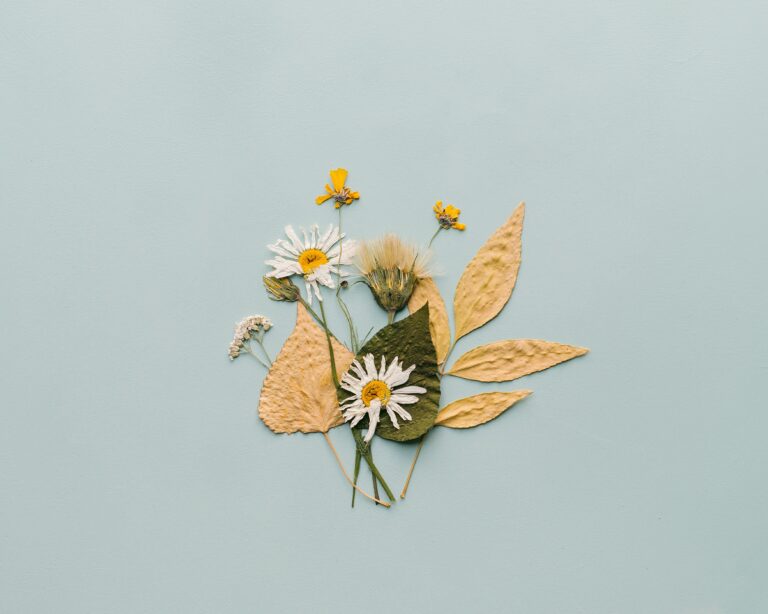 Faire sécher des fleurs dans un livre