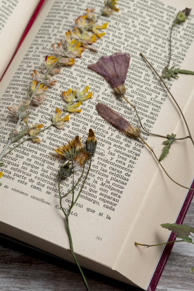 Presser des fleurs dans un livre